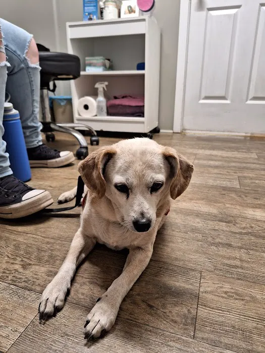 Marlboro Veterinary Services Picture 4