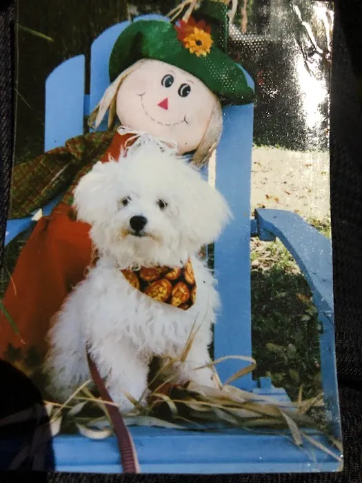 Marlboro Veterinary Services Picture 8