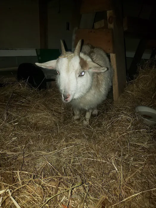 Animal Care Hospital Picture 9
