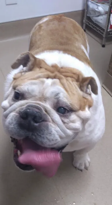 Animal Care Hospital Picture 8