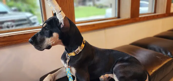 West Liberty Veterinary Clinic Picture 4