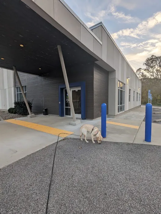 Four Paws Veterinary Associates Picture 1