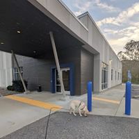 Four Paws Veterinary Associates ico