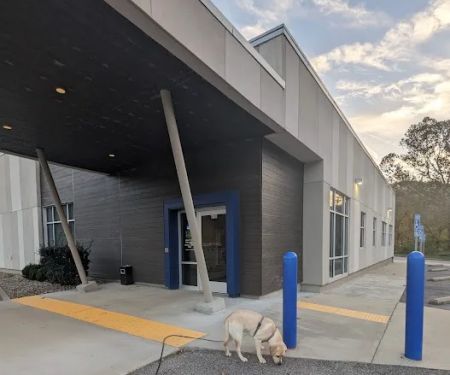 Four Paws Veterinary Associates