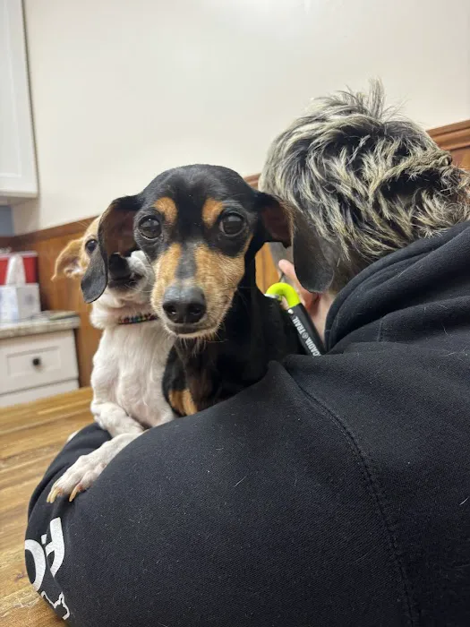 Southeastern Veterinary Services Picture 3
