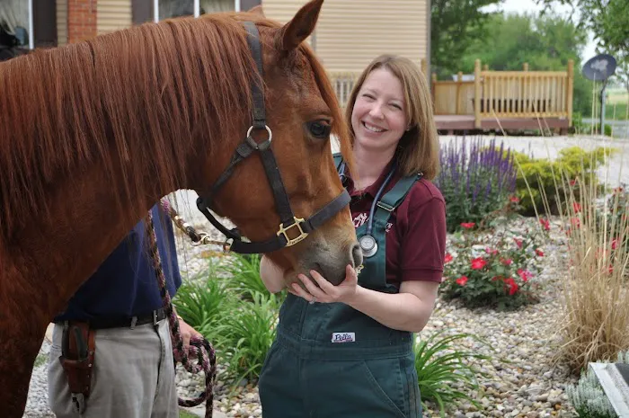 Petersburg Veterinary Clinic Picture 1