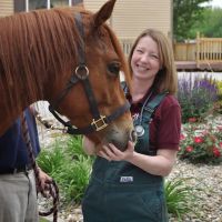 Petersburg Veterinary Clinic ico