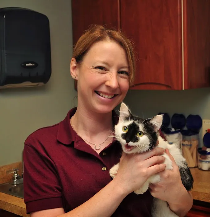 Petersburg Veterinary Clinic Picture 7