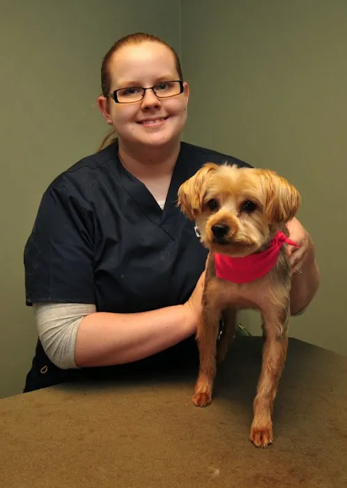 Petersburg Veterinary Clinic Picture 9