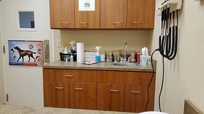 Cornerstone Animal Hospital Picture 4