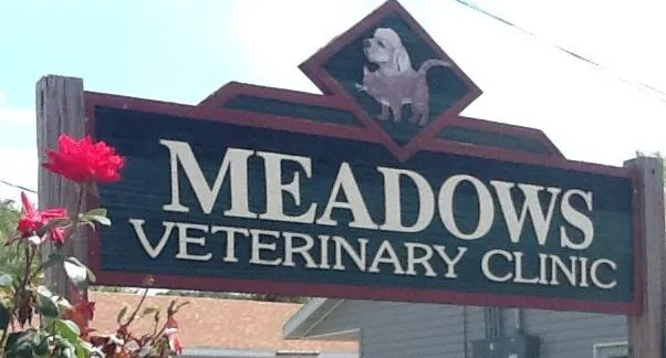 Meadows Veterinary Clinic Picture 4