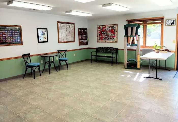 Meadows Veterinary Clinic Picture 5
