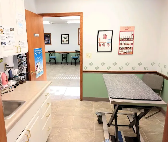Meadows Veterinary Clinic Picture 3