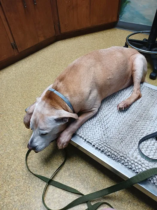 Lakeview Veterinary Clinic Picture 5