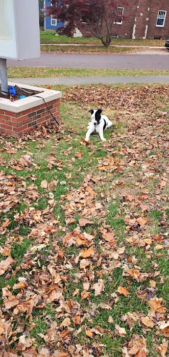 Tremont Veterinary Clinic Picture 6