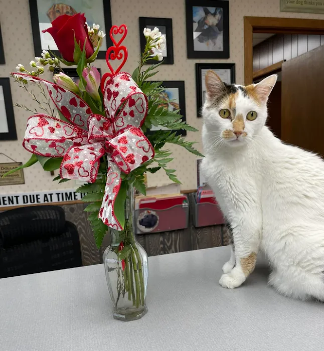 Animal Care Clinic Of Chillicothe, P.C. Picture 10