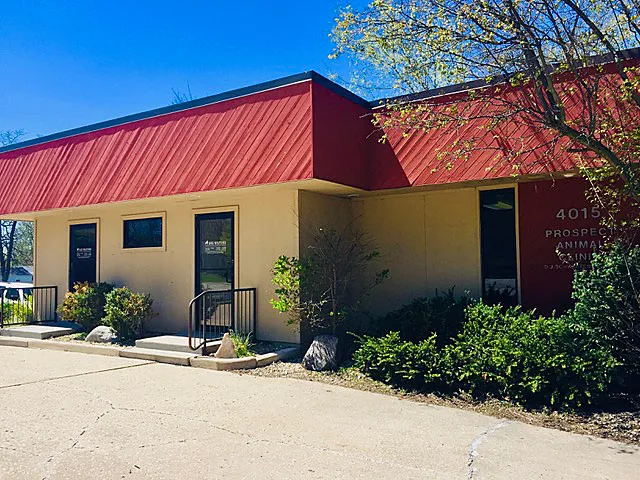 Prospect Animal Clinic Picture 2