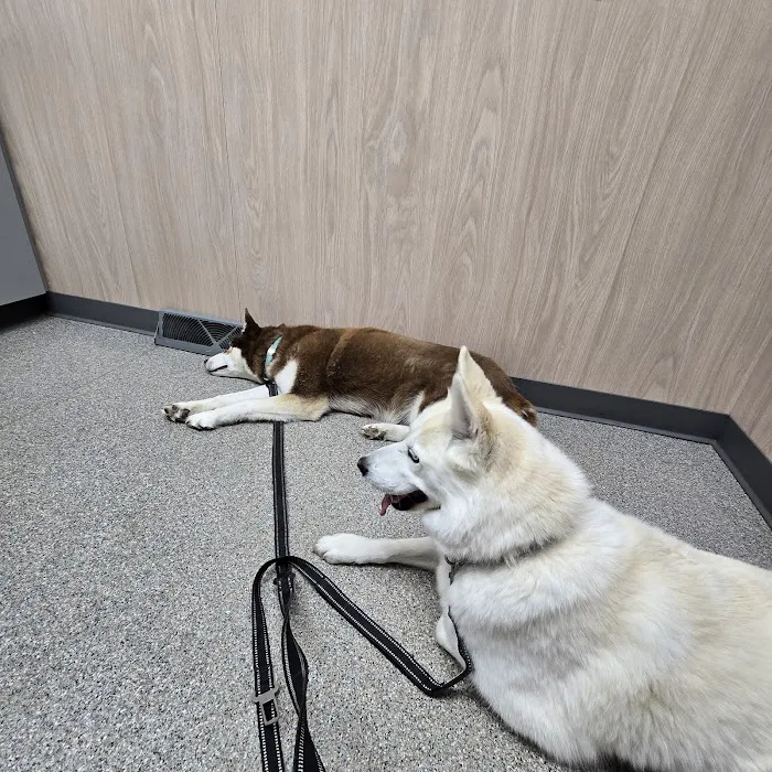 Prospect Animal Clinic Picture 4