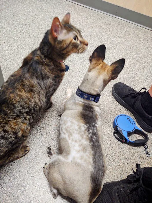 Prospect Animal Clinic Picture 6