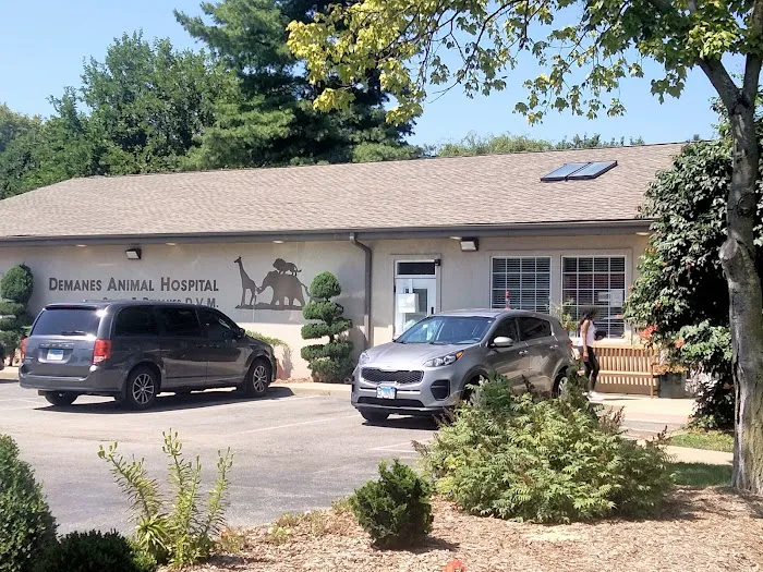 Demanes Animal Hospital Picture 10