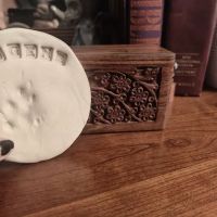 All Pets Veterinary Hospital ico