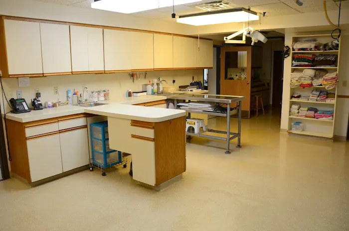 All Pets Veterinary Hospital Picture 2