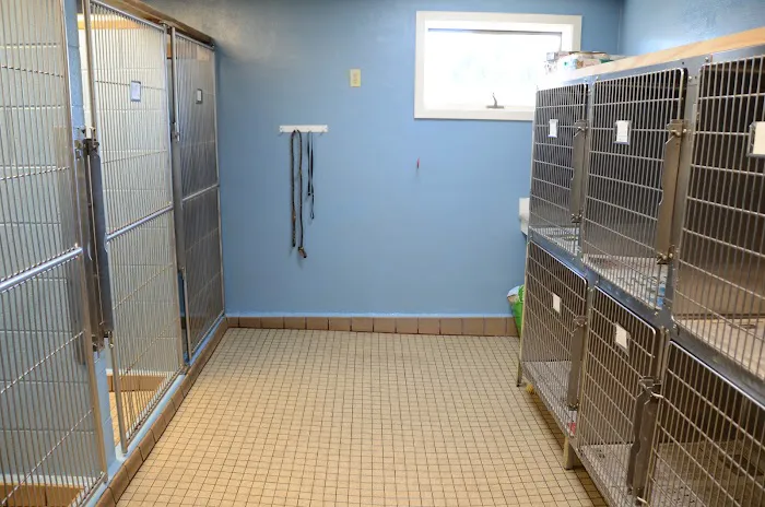 All Pets Veterinary Hospital Picture 6