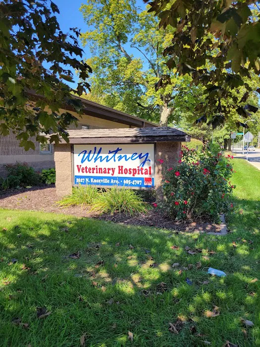 Whitney Veterinary Hospital Picture 3