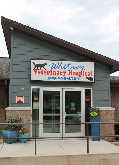 Whitney Veterinary Hospital Picture 1