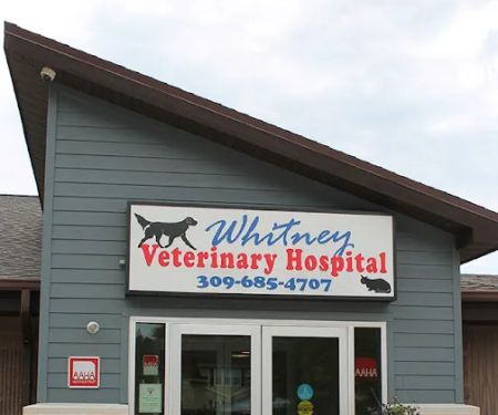 Whitney Veterinary Hospital