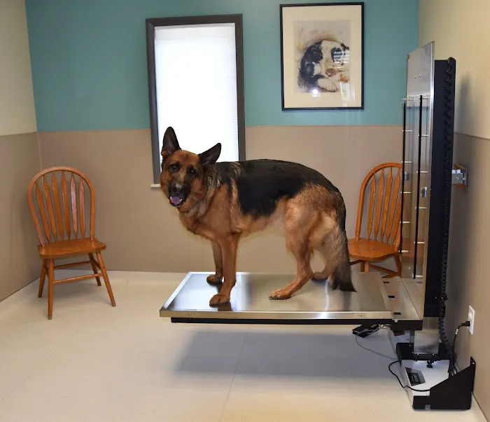 Whitney Veterinary Hospital Picture 2