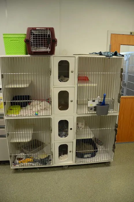 Rescued Heart Animal Hospital Picture 4