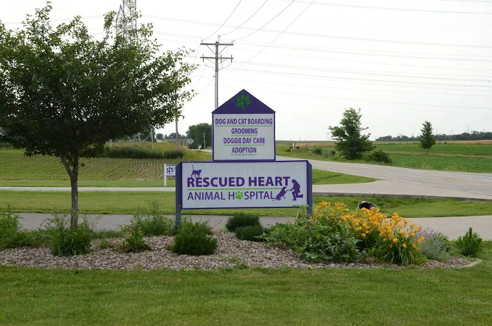 Rescued Heart Animal Hospital Picture 10