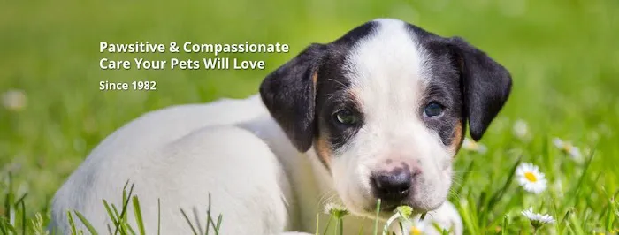 Green River Veterinary Services LLC Picture 3