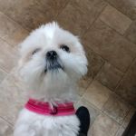 Marshall County Veterinary Clinic