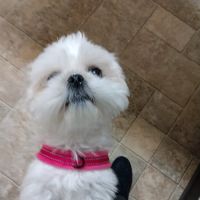 Marshall County Veterinary Clinic ico