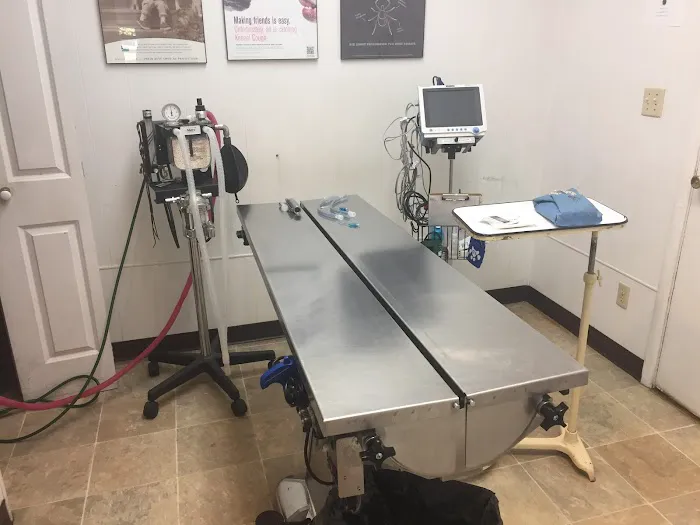 Ashton Animal Clinic Picture 9