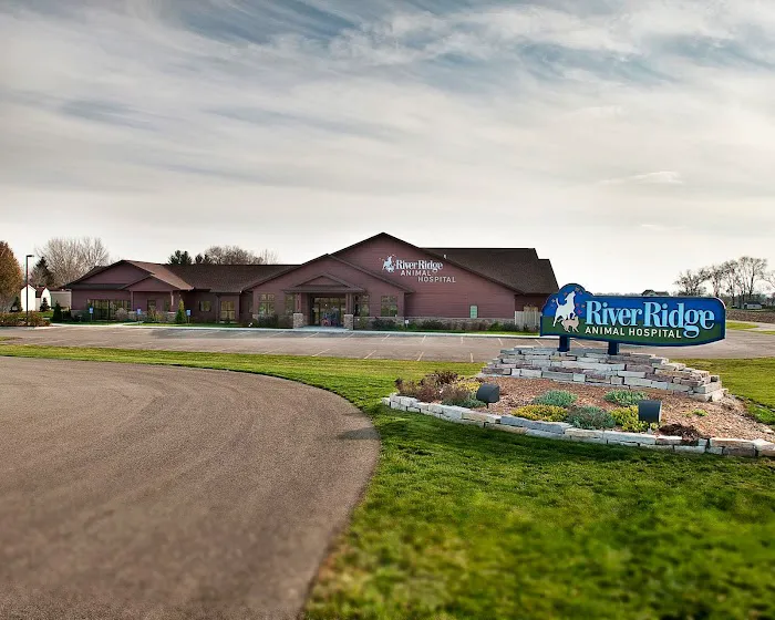 River Ridge Animal Hospital Picture 3