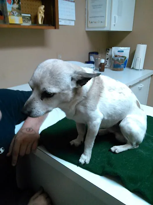 Advanced Animal Health Center Picture 6