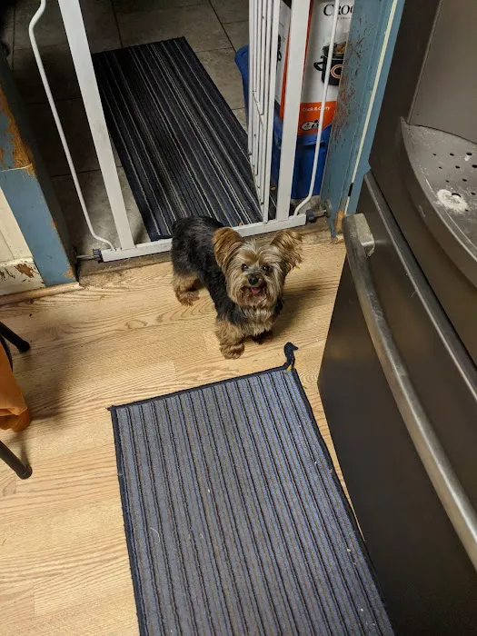Advanced Animal Health Center Picture 9