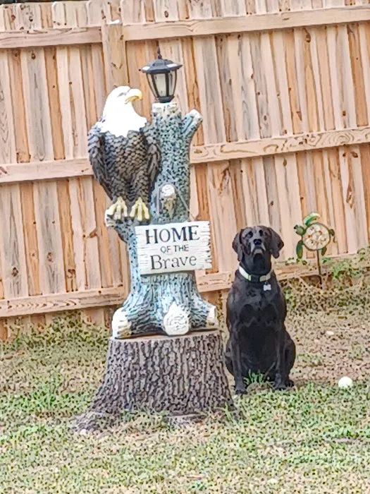 Blackhawk Veterinary Services, Ltd. Picture 1
