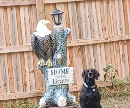 Blackhawk Veterinary Services, Ltd.