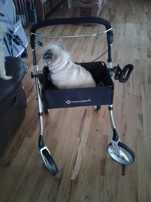Blackhawk Veterinary Services, Ltd. Picture 5