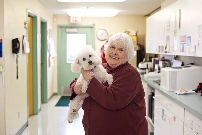 CareVet of Rockford Picture 1