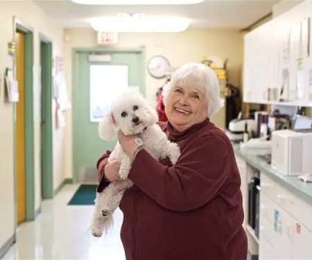 CareVet of Rockford