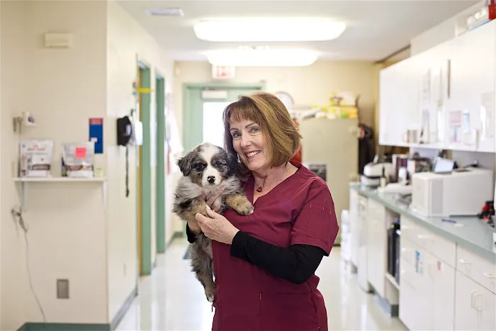 CareVet of Rockford Picture 7