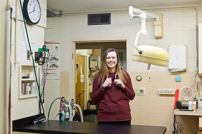 CareVet of Rockford Picture 6