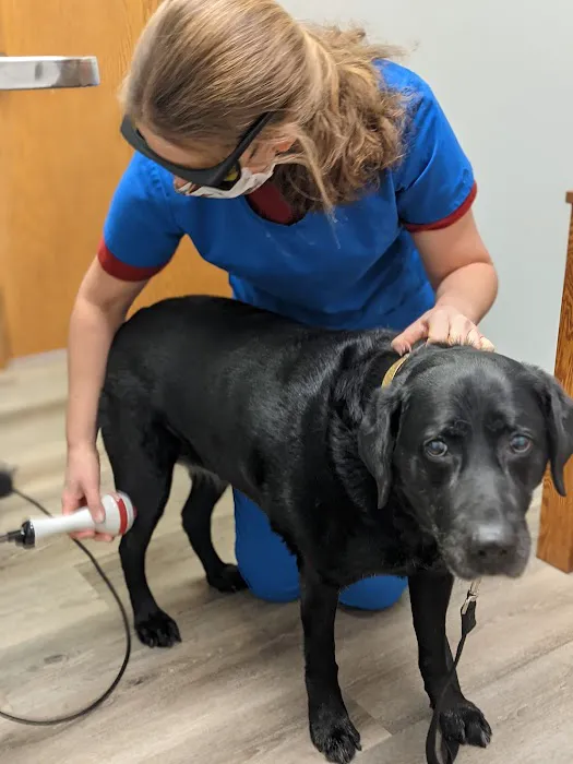 Mulford Animal Hospital Picture 1