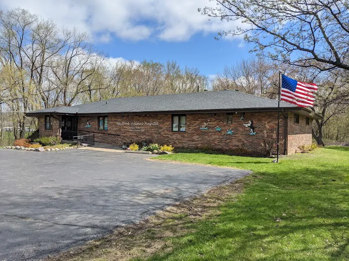 Mulford Animal Hospital Picture 2