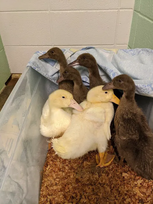 Mulford Animal Hospital Picture 10
